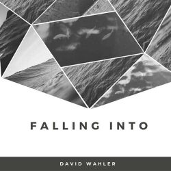 دانلود موسیقی بی کلام آهنگ افتادن در (Falling Into) اثر دیوید والر