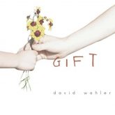 دانلود موسیقی بی کلام هدیه (Gift) اثر دیوید والر (David Wahler)