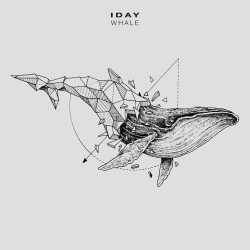 دانلود موسیقی بی کلام نهنگ (Whale) اثر آی دی (Iday)