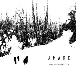 دانلود موسیقی بی کلام عشق ورزیدن (Amare) اثر جوئل کریستین گوفین