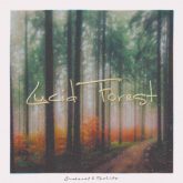 دانلود موسیقی بی کلام جنگل شفاف (Lucid Forest) اثر اونهارت
