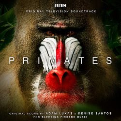 دانلود آلبوم موسیقی متن مستند نخستی‌سانان (Primates) اثر آدام لوکاس