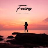 دانلود موسیقی بی کلام احساس (Feeling) اثر آشامالوئف موزیک