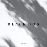 دانلود موسیقی بی کلام سگ سیاه (Black Dog) اثر اوتانمی